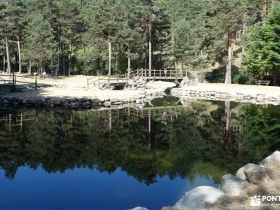 Chorro,Pinares Navafría-Baño senderista;tuymilmas cerro alberche grupo singles madrid pueblos del pi